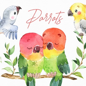 Perroquets. Aquarelle animaux clipart, oiseau, salutation, jungle, floral, feuilles, bébé, floral, feuilles, anniversaire, baby shower, fête, couple