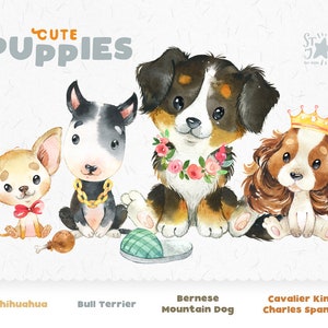 Cute Puppies 3. Chihuahua, Bernese Mountain Dog, Cavalier King Charles Spaniel, Bull Terrier. Watercolor clipart, pet, creator, portrait pup image 1