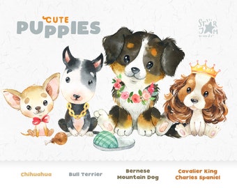 Cute Puppies 3. Chihuahua, Bernese Mountain Dog, Cavalier King Charles Spaniel, Bull Terrier. Watercolor clipart, pet, creator, portrait pup