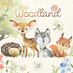Forêt 2. Petits animaux aquarelle clipart, loup, écureuil, cerf, hérisson, fleurs, baby-shower, bois, sauvage, forêt, bébé, crèche