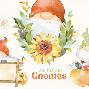 Gnomes d’automne. Aquarelle Clipart d’automne, halloween, thanksgiving, tournesol, récolte, salutation, citrouilles, scandi, floral, enfants, bricolage, camion