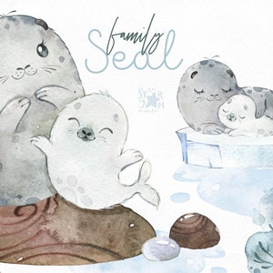 Famiglia di foche. Acquerello piccolo animale clipart, madre e bambino, gentile, bianco, ghiaccio, compleanno, pietre, mare, saluto, nato bambino, baby-shower