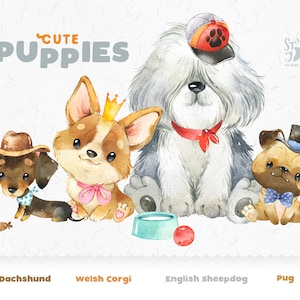 Niedliche Welpen. Dackel Corgis Schafhund Mops. Aquarell Hund Clipart, Haustier, Erschaffer, Portrait, Hund, individualisieren, Welpe, Welpe, Baby, Kinderzimmer