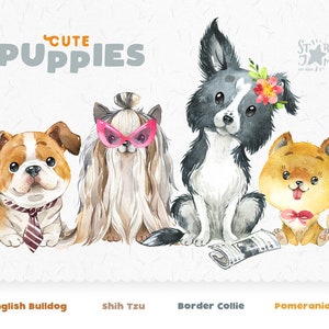 Süße Welpen 6 englische Bulldogge, Shih Tzu, Border Collie, Pomeranian. Aquarell Hund Clipart, Haustier, Erschaffer, Spitz, Portrait Welpen, Kinderzimmer, Kunst