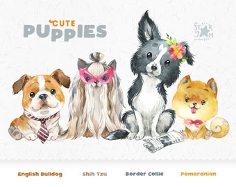 Cute Puppies 6 English Bulldog, Shih Tzu, Border Collie, Pomeranian. Watercolor dog clipart, pet, creator, spitz, portrait pup, nursery, art