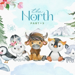 O Norte 3. Clipart de animais em aquarela, pinguim real, raposa ártica, lebre, papagaio-do-mar, boi almiscarado, polar, aniversário, saudação, chá de bebê, Natal