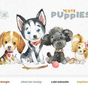 Chiots mignons 4. Beagle, Husky sibérien, Labradoodle, Papillon, épagneul jouet. Aquarelle chien clipart, animal de compagnie, créateur, portrait chiot, crèche, art