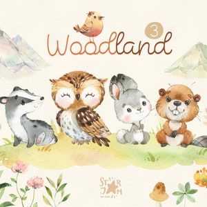 Woodland 3. Little animals watercolor clip art, owl, rabbit, beaver, badger, hare, florals, baby-shower, woods, wild, forest, baby, nursery