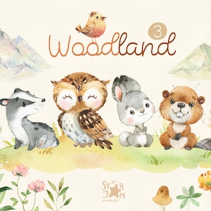 森 3. 小さな動物の水彩画のクリップアート、フクロウ、ウサギ、ビーバー、アナグマ、野ウサギ、花柄、ベビーシャワー、森、野生、森林、赤ちゃん、保育園