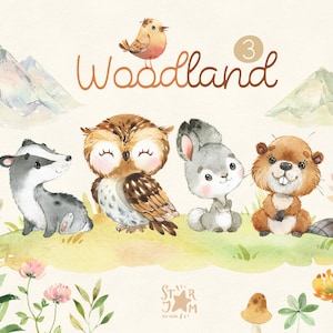 Woodland 3. Little animals watercolor clip art, owl, rabbit, beaver, badger, hare, florals, baby-shower, woods, wild, forest, baby, nursery