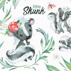 Kleines Stinktier. Aquarell Tiere Clip Art, Stinker, wild, Native, Wald, Kranz, Blumen, Nordamerika, Gruß, Babyshower, Wald