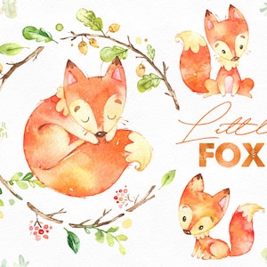 Petit renard. Clipart animal mignon, aquarelle, bois, forêt, couronne, floral, salutation, inviter, babyshower, enfants, sympa, rouge, planificateurs, fxbn