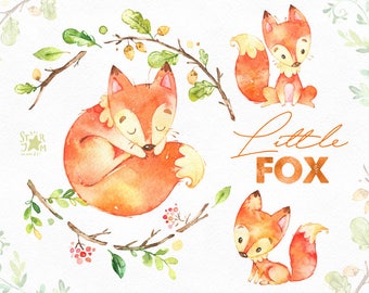 Little Fox. Cute animal clipart, watercolor, woodland, forest, wreath, floral, greeting, invite, babyshower, kids, nice, red, planners, fxbn