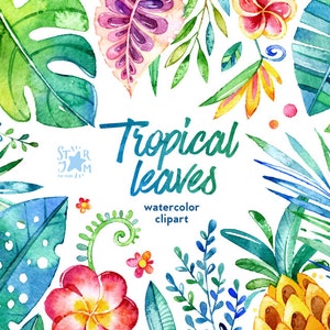 Feuilles tropicales. 44 éléments floraux, aquarelle clipart, jungle, fleurs, ananas, cartes, bricolage, inviter, bébé, coloré, art, feuille, feuillage