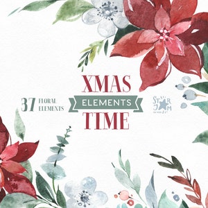 Xmas Time Floral Elements Takken. Kerstmis Aquarel clipart, bloemen, bloemen, winter, poinsettia, vakantie, kaart, bladeren, blad, rood