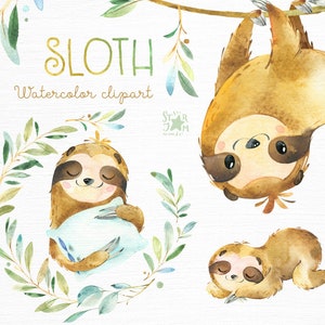 Sloth. Little animals watercolor clipart, sleepy sloths, wreath, florals, babyshower, kids, baby, cute, nursery, branches, starjamforkids image 1