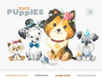 Cuccioli carini 2. Yorkshire Terrier, Dalmata, Rough Collie, Mini Schnauzer. Clipart per cani ad acquerello, animale domestico, creatore, ritratto, cagnolino, cucciolo