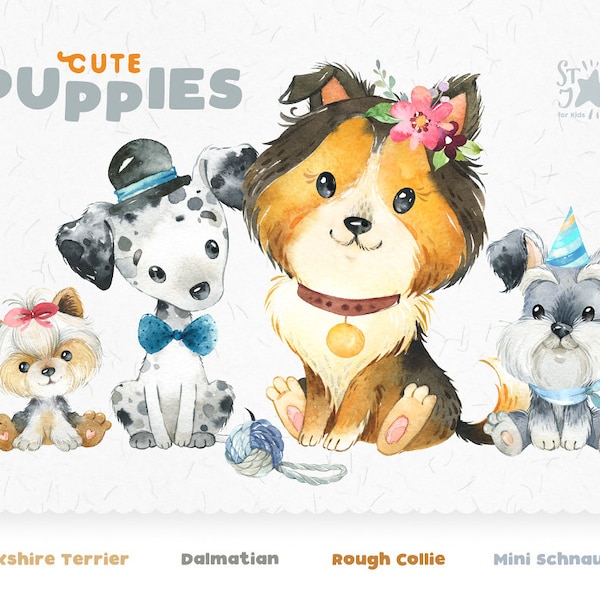 Cute Puppies 2. Yorkshire Terrier, Dalmatian, Rough Collie, Mini Schnauzer. Watercolor dog clipart, pet, creator, portrait, doggie, pup