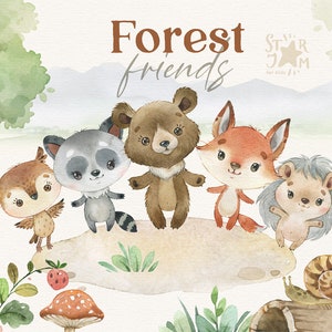 Amis de la forêt. Clipart aquarelle de petits animaux, renard, ours, hibou, raton laveur, hérisson, bois, douche de bébé, bois, sauvage, bébé, pépinière, png
