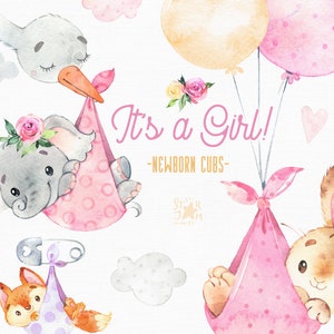 It's a Girl Newborn Cubs Watercolor little animal clipart Elephant Bear Giraffe Raccoon Bunny Fox baby stork, balloon, birthday baby-shower image 1