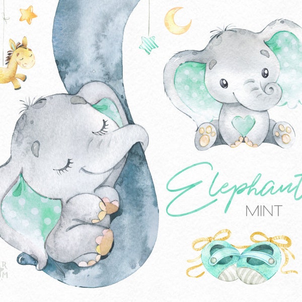 Elephant Baby Mint. Watercolor little animal clipart, africa, neutral boy girl green booties bib family sleep, baby-born, baby-shower, love