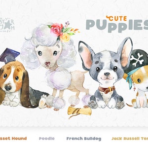 Cute Puppies 5. Jack Russell Terrier, French Bulldog, Basset Hound, Poodle. Watercolor dog clipart, pet, creator, portrait pup, nursery, art