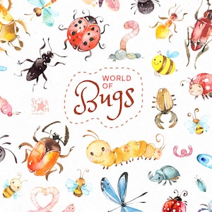 Il mondo degli insetti. Clipart acquerello, foresta, insetto, selvaggio, scarabeo, bruco, libellula, vermi, coccinella, formica, ape, ragno, natura, invito