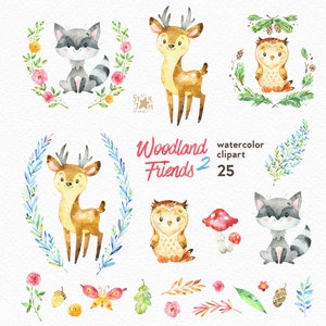 Woodland Friends 2. Watercolor animals clipart, forest, deer, raccoon, owl, greeting, invite, kids, flowers, floral, wreath, diy, shower image 2