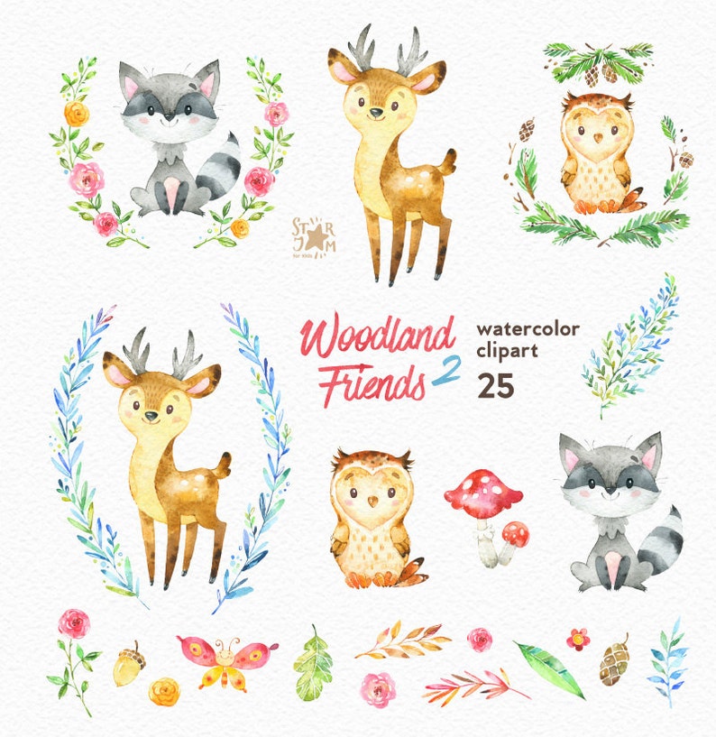 Woodland Friends 2. Watercolor animals clipart, forest, deer, raccoon, owl, greeting, invite, kids, flowers, floral, wreath, diy, shower image 2