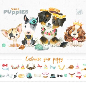 Cute Puppies 3. Chihuahua, Bernese Mountain Dog, Cavalier King Charles Spaniel, Bull Terrier. Watercolor clipart, pet, creator, portrait pup image 3