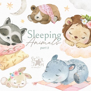 Sleeping Animals 2. Aquarel clipart, leeuw, beer, konijn, nijlpaard, wasbeer, kussens, maan, safari, vogel, sterren, wolken, droom, png, kinderkamer