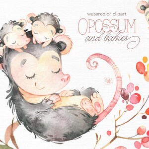 Opossum et bébés. Aquarelle animaux clipart art, sauvage, indigène, forêt, couronne, fleurs, petit opossum, Amérique du Nord, babyshower, bois