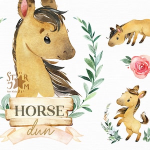 Horse. Dun, buckskin. Watercolor clipart stallion, foal, colt, flowers, country, farm, wreath, West, horseshoe, baby-shower, portrait, cute.