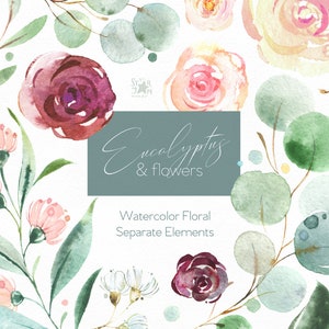 Eucalyptus & Flowers. 29 Separate Floral Elements Watercolor clipart, dusty green, leaf, leaves, delicate, trendy, purple, greeting, peony