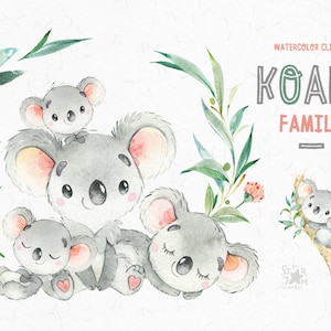 Famiglia Koala. Piccoli animali acquerello clipart, Australia, koala orsi, acquerello, floreali, babyshower, fai da te, bambini, bambino, asilo nido, amore