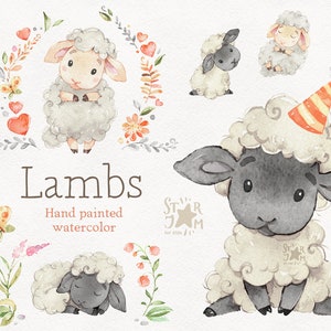 Cordeiros. Clipart de animais de fazenda em aquarela, ovelhas, cartão para impressão, png, clip art do país, casa, chá de bebê, festa de aniversário, pintado à mão