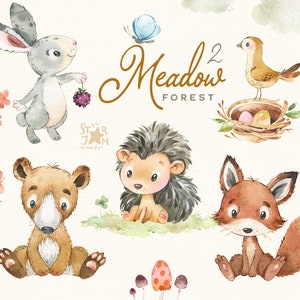 Pré forestier 2. Petits animaux aquarelle clipart, renard, lapin, ours, hérisson, bois, fleurs, baby-shower, bois, sauvage, forêt, bébé