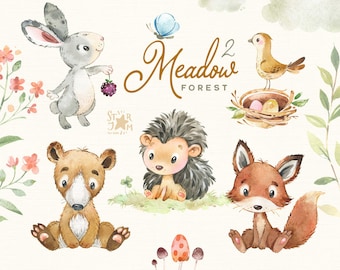 Prato forestale 2. Piccoli animali acquerello clipart, volpe, coniglio, orso, riccio, bosco, fiori, baby-shower, boschi, selvaggio, foresta, bambino