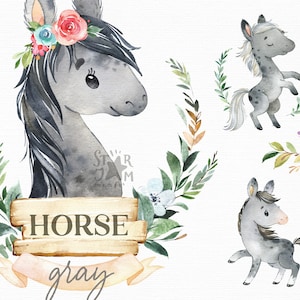 Pferd. Grau, Dapple grau. Aquarell Clipart, Hengst, Fohlen, Colt, Blumen, Landhof, Sattel, Kranz, West, Hufeisen, Babyparty