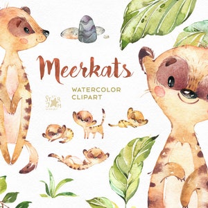 Erdmännchen. Aquarell Tiere Clipart, kleine Erdmännchen, Liebe, Afrika, Savanne, Einladungen, Steine, Blumen, Blätter, Babyshower, diy.