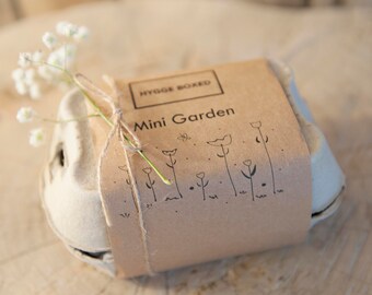MINI GARDEN EGGBOX, Gift Set for Gardeners, Garden lovers, Garden Gift, Hygge gift, Letterbox Nature Gift, Grow own garden, Wildflower seeds