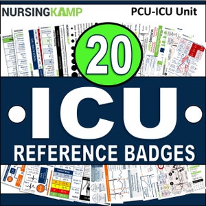 20 Badges ICU CCU SET Travel Nurse Intern Clinical Reference Clinical Medical Badge Nursing Gift   Student Nurse Lanyard