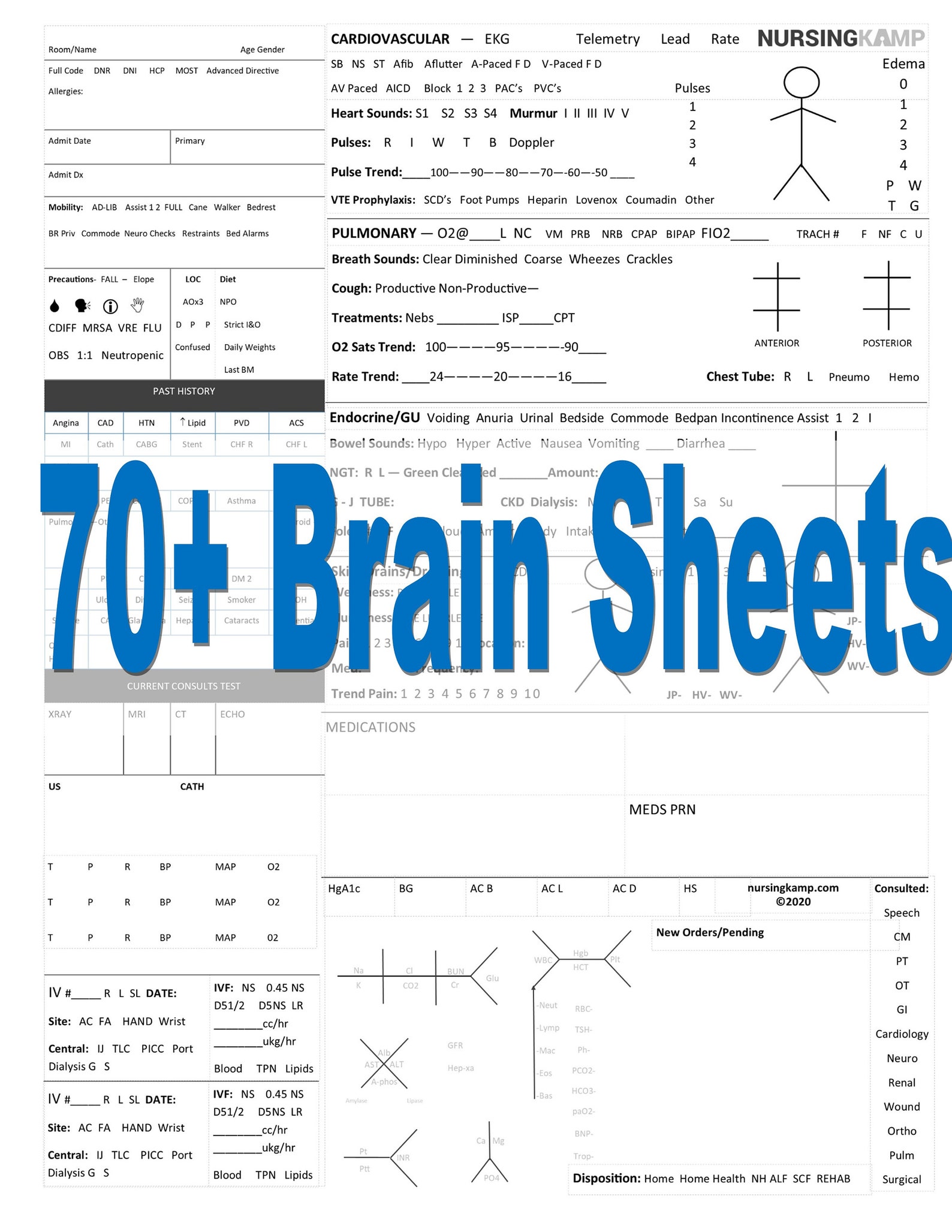 Nursing Brainsheet Brain Sheet Clinical Book Full Size Nursing - Etsy