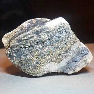 Rhodonite Manganese Inosilicate Mineral 2 Unpolished Mineral Specimens Rhodonite Manganese Inosilicate Mineral 2 Unpolished Mineral Specimens