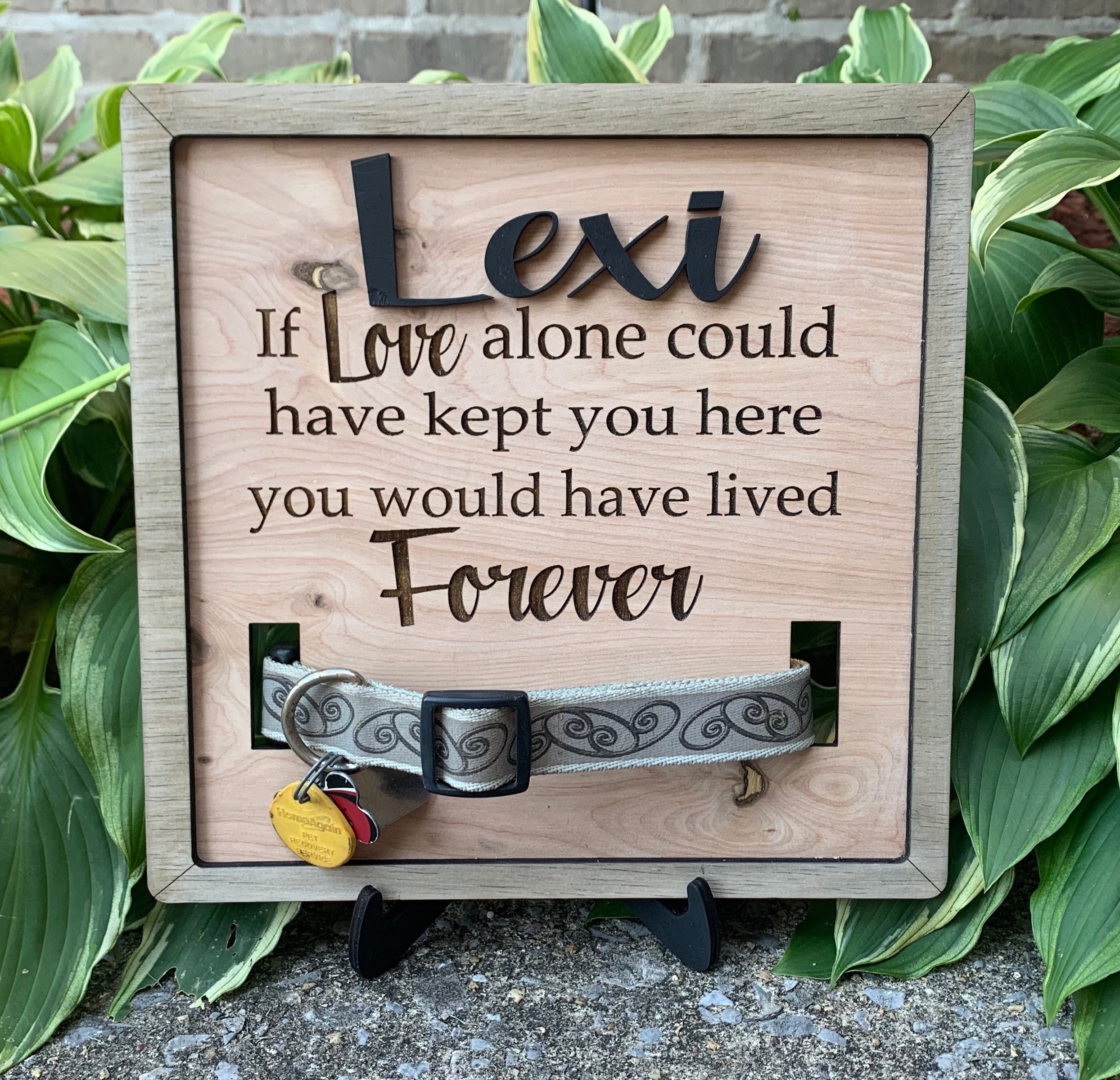 Dog Collar Remembrance Frame SVG / SVG Only / Dog Remembrance Etsy