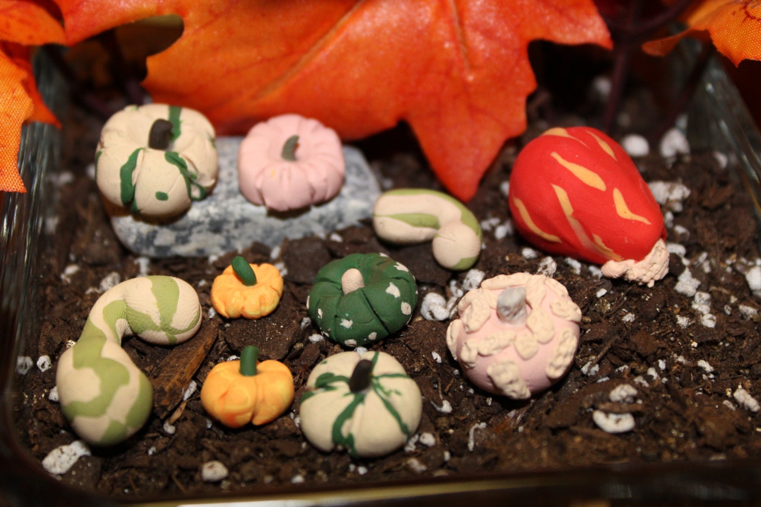 Miniature fall squash 10pc Polymer clay Etsy