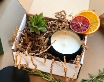 Boîte cadeau succulente avec bougie de Living Arrangement