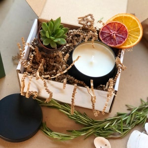 The Candle & Succulent Gift Box