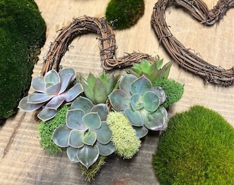 Living Heart Succulent Wreath Gift on Grapevine