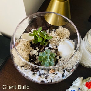 May include: A clear glass terrarium with a variety of plants, including succulents, moss, and small pine cones. White rocks and seashells are scattered throughout the terrarium.